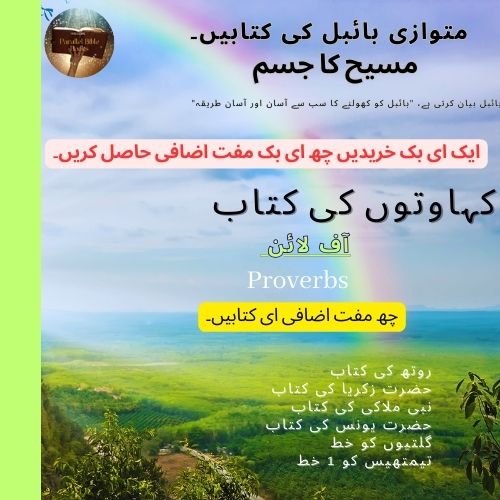 Book Of Proverbs Parallel Bible Books Promotion Urdu 21