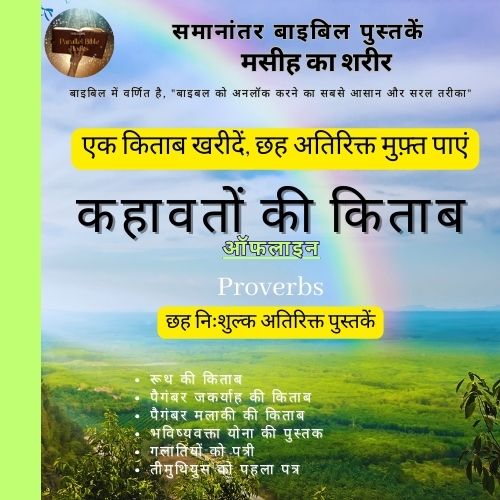 Books Of Proverbs Parallel Bible Books Hindi Promotion 16
